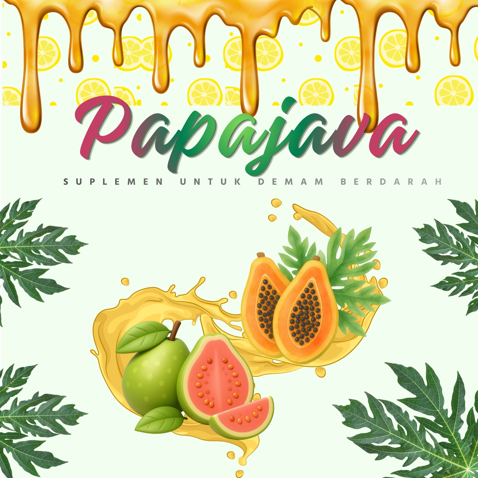 pembuatan produk minuman sehat suplemen anti DBD (demam berdarah dengue)